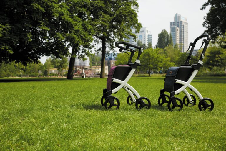 Two rollators on a grassy field with city skyline in the background, showcasing mobility aid.